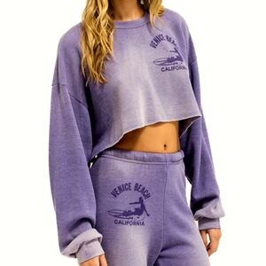 Aviator Nation Venice Beach Crew Cropped Grape Oversized Sweatshirt Size Medium